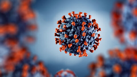 Corona-Virus